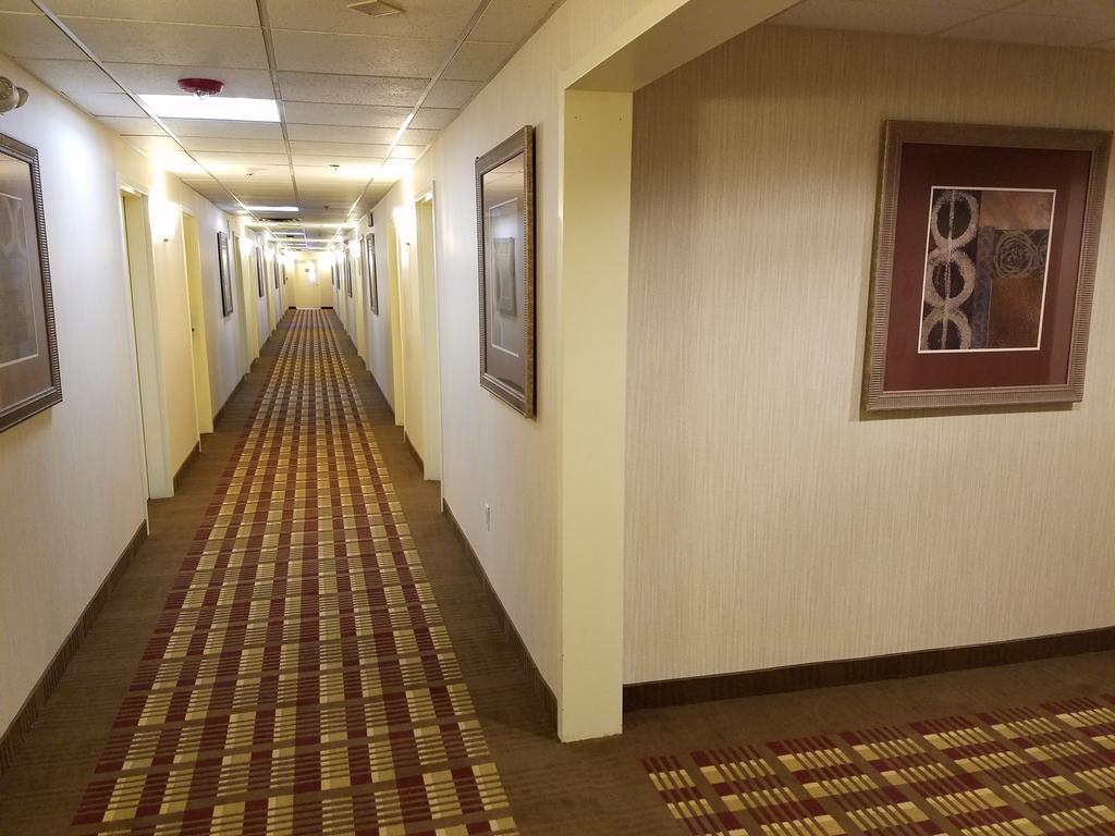 Days Inn By Wyndham Windsor Locks / Bradley Intl Airport Экстерьер фото